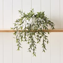 Willow Silver Green Hanging Fern