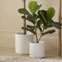 Arno White Pot