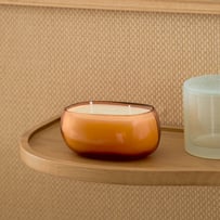 Pluto Blackberry & Bay Candle 400g