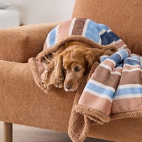 Maisy Pet Blanket Sunlit Stripe