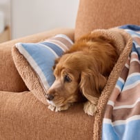 Maisy Sunlit Stripe Pet Pillow