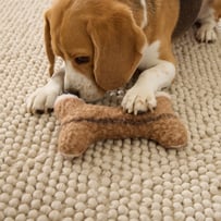 Bailey Mocha Stripe Pet Toy