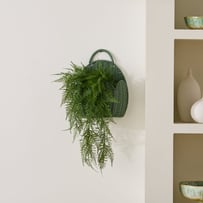 Hanging Scalloped Green Basket