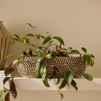 Animalia Black & Natural Long Pot