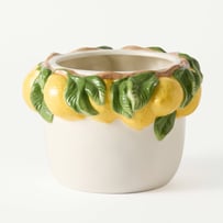 Lemon Pot