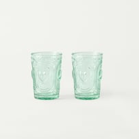 Heart Fern Green Tumbler Pack of 2