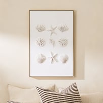 Moma Shelly Beach Canvas