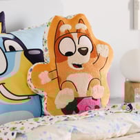 Bluey Fruity Fun Bingo Cushion