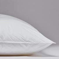 Adairs Dreamer Pillows 2 Pack