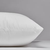 Adairs Dreamer Pillows 2 Pack