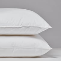 Adairs Dreamer Pillows 2 Pack