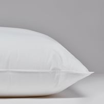 Adairs Dreamer Pillow Range Body  Medium