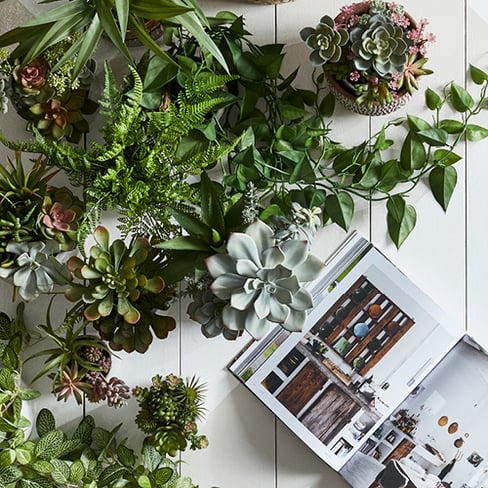 Selection of potted plants on a white timber slat floor with a book open next to it. 