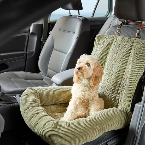 Maisy Forest Corduroy Fold-Out Pet Bed