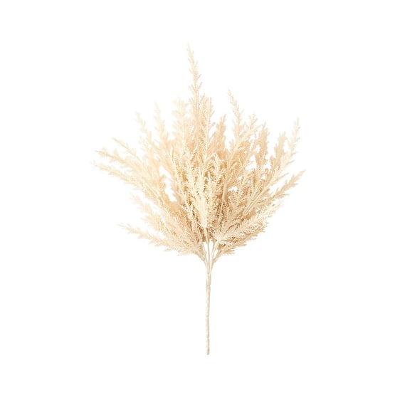 Winter Cream Asparagus Fern Stem 