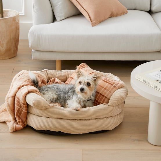 Maisy Biscuit & Spice Check Pet Pillow