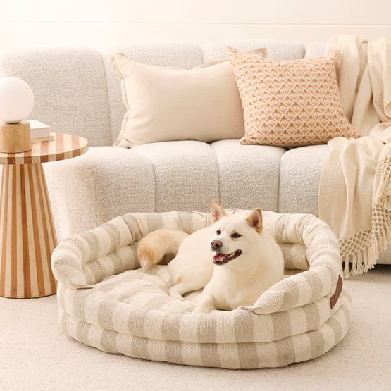 Ziggy White & Natural Stripe Pet Bed