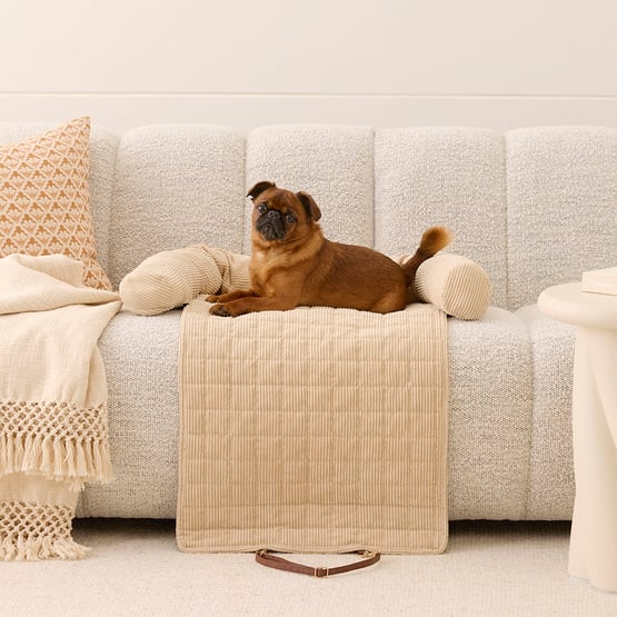 Maisy Biscuit Corduroy Fold-Out Pet Bed