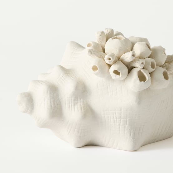 Seascape Cream Shell Vessel