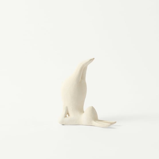 Yoga White Legs in the Air Bunny