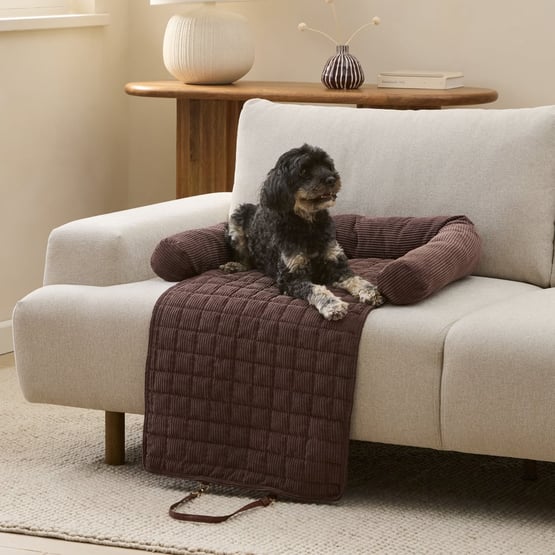 Maisy Chocolate Fold Out Pet Bed