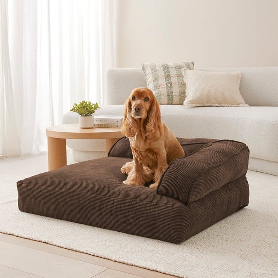 Cooper Chocolate Couch Pet Bed