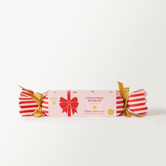 Festive Bon Bon Santa Pet Toy