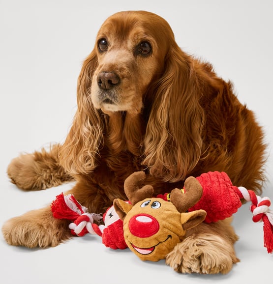 Festive Bon Bon Santa Pet Toy