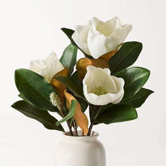 Magnolia Flower in Ceramic Vase