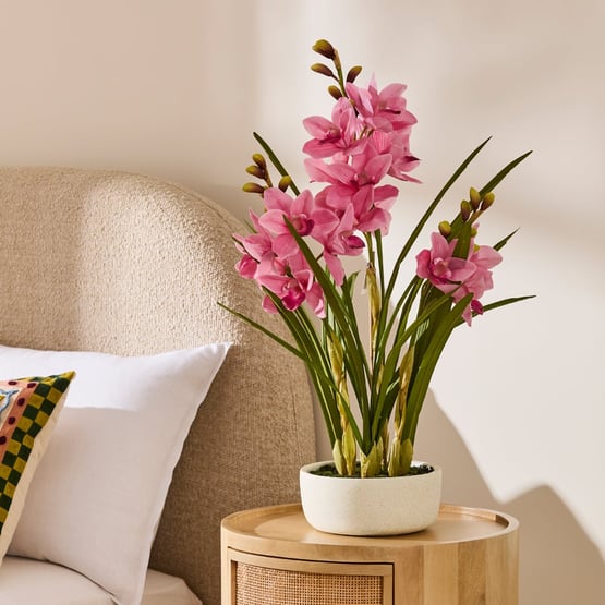 Cymbidium Pink 3 Spray in Ceramic Pot