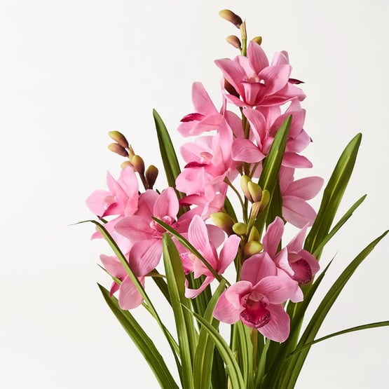Cymbidium Pink 3 Spray in Ceramic Pot