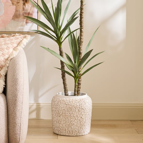 Daisy White Pot