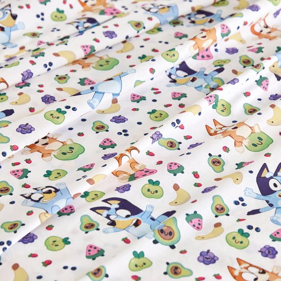 BBC Bluey Fruity Fun Sheet Set