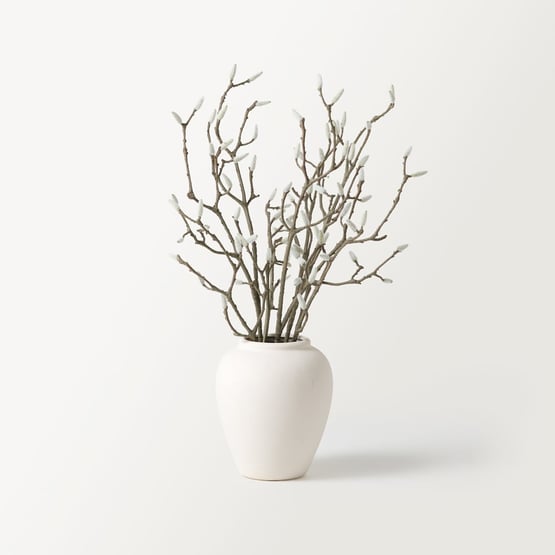 Willow Natural & White Branch in Vase