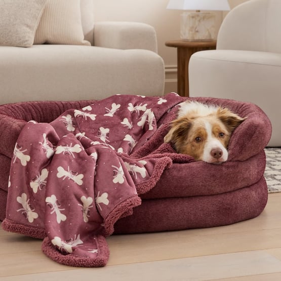 Maisy Bows Pet Blanket