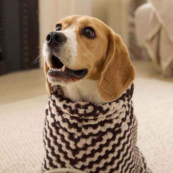 Lola European Turkish Cotton Chocolate & Natural Drying Jacket