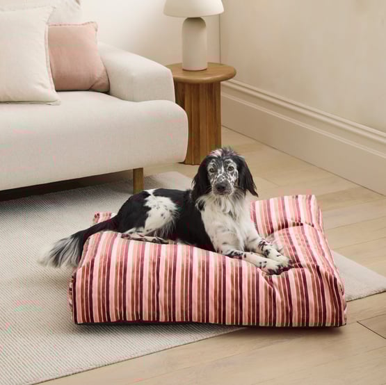 Etro Stripe Cedar Velvet Pet Bed