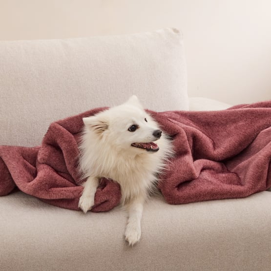 Zurich Mulberry Recycled Fur Pet Blanket