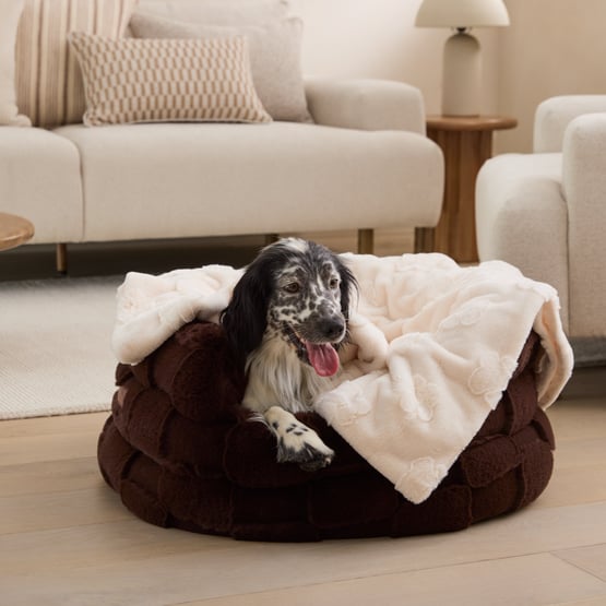 Paws Natural Recycled Fur Pet Blanket