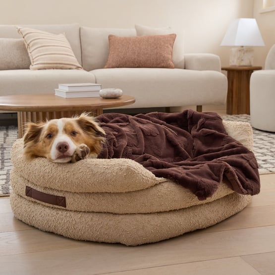 Paws Chocolate Recycled Fur Pet Blanket