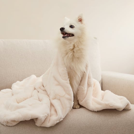Paws Recycled Fur Pet Blanket Natural