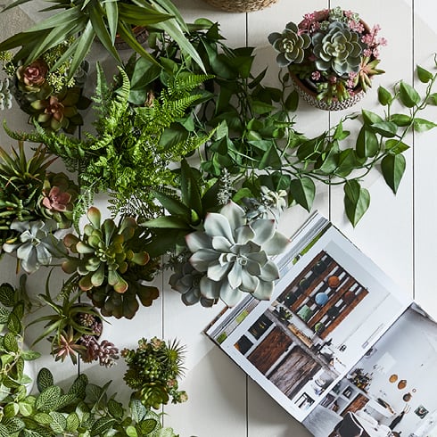 Bird’s eye view collection of succulents and potted plants next to an open book, styled on white wooden slat flooring.