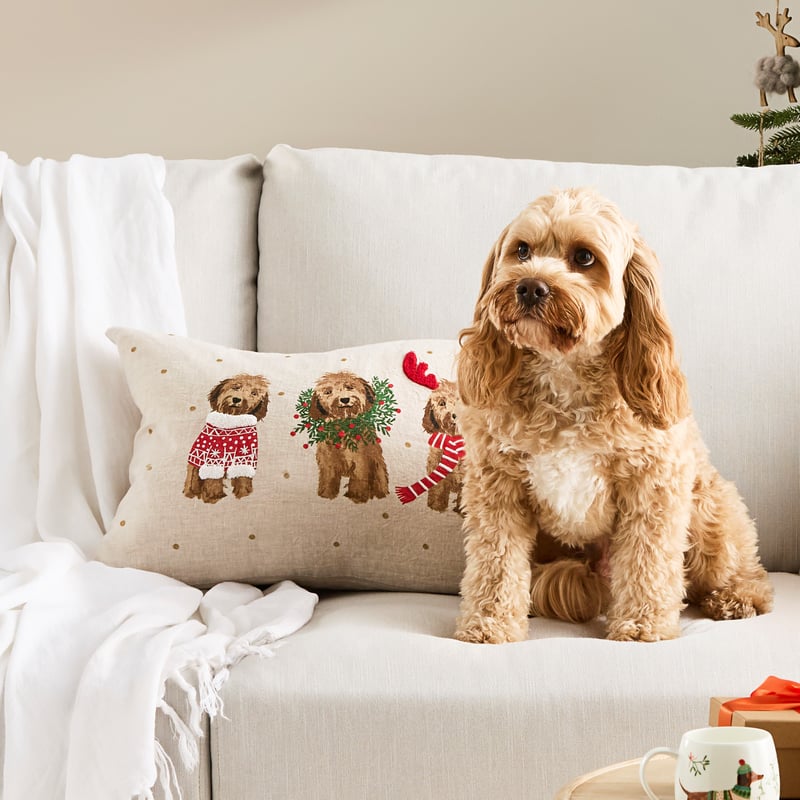 Festive Cavoodle Cushion