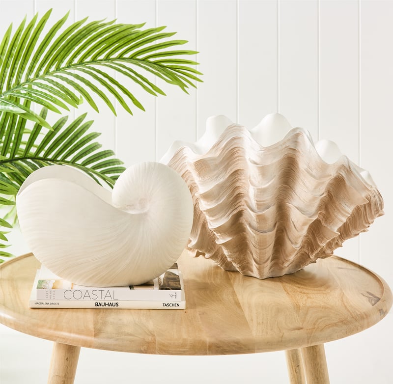 Marine Life Clam Statue