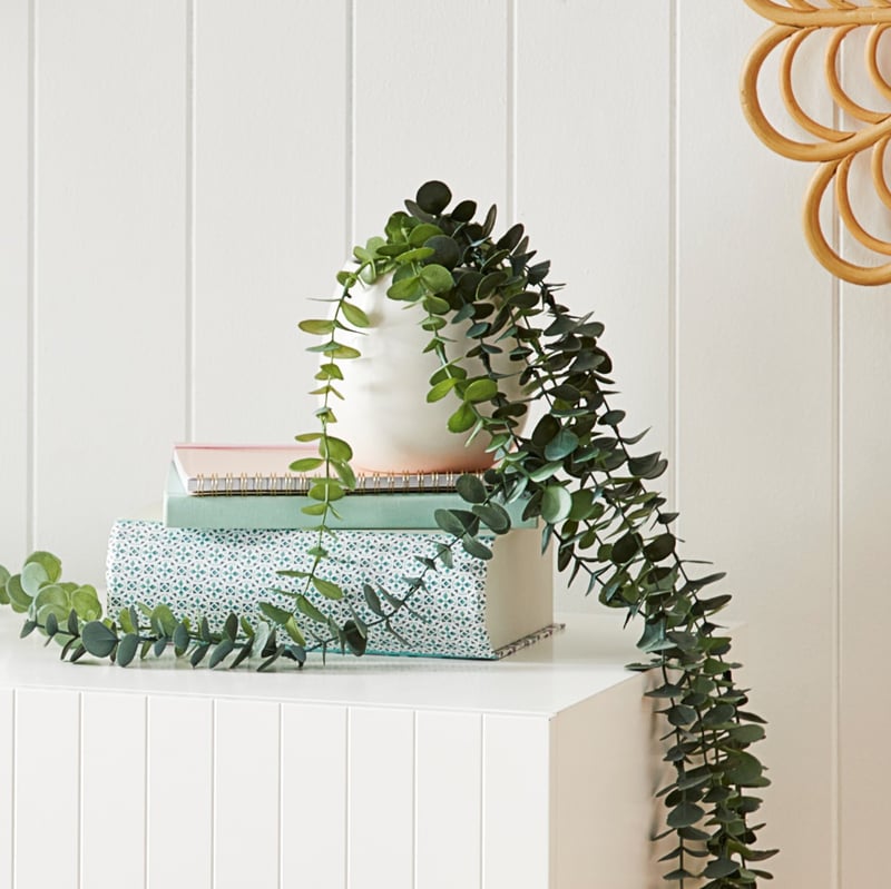 St Ives Coin White & Green Potted Plant