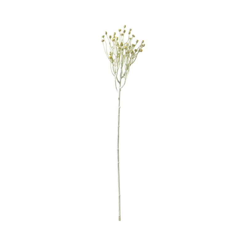 Native Yellow Psilotum Spray Stem