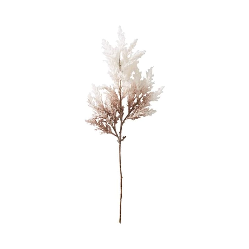 Winter Stem Latte Brush Grass