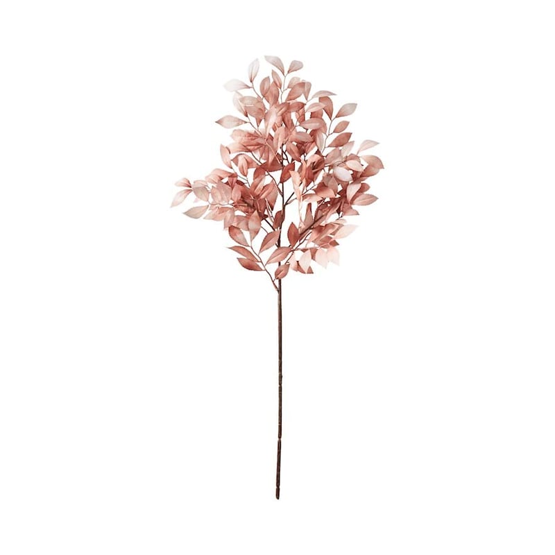 Winter Stem Red Autumn Leaves
