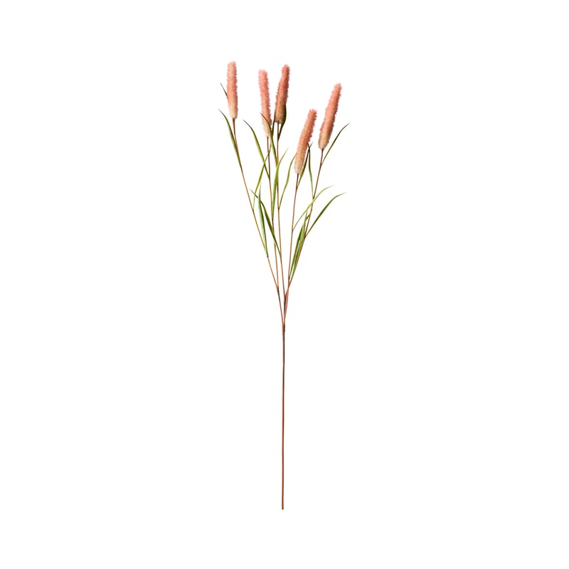 Winter Swinging Grass Rust Stem