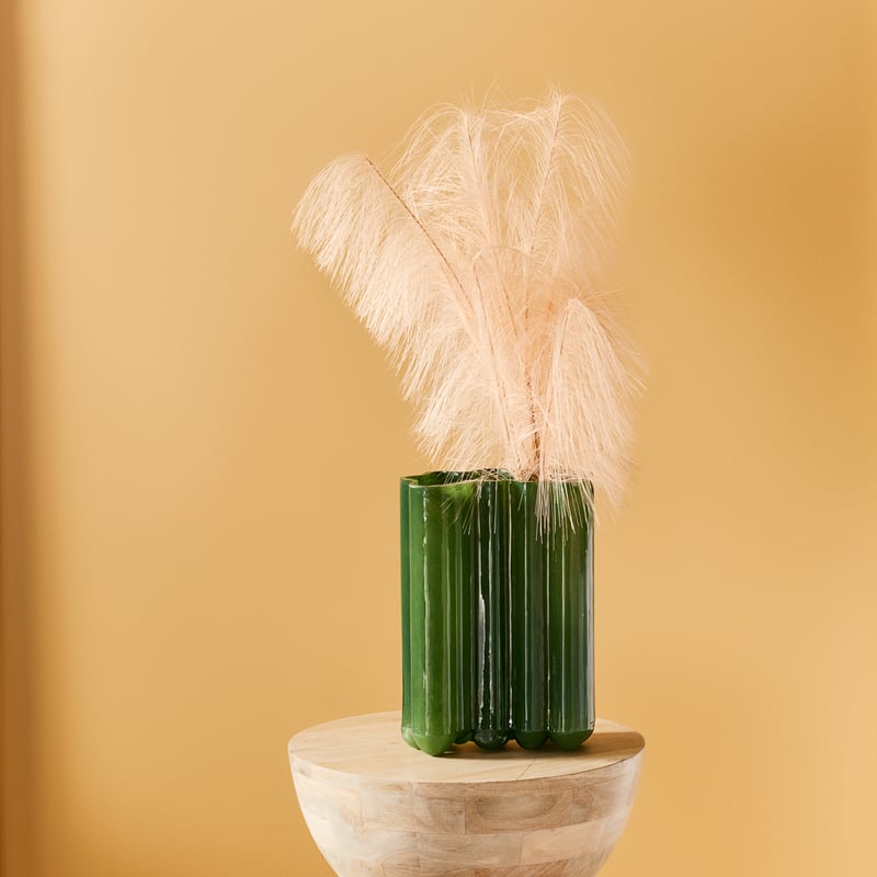 Feather Pampass Pink Grass Stem